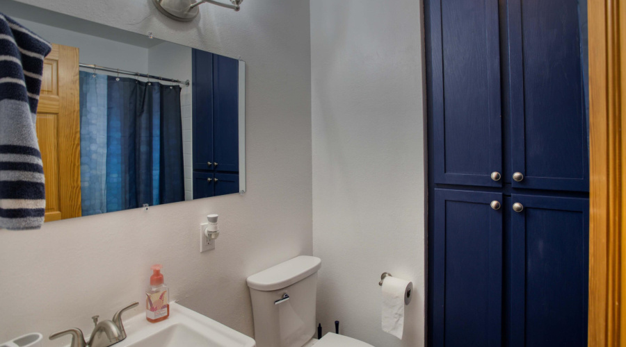 Renvovated Guest Bath