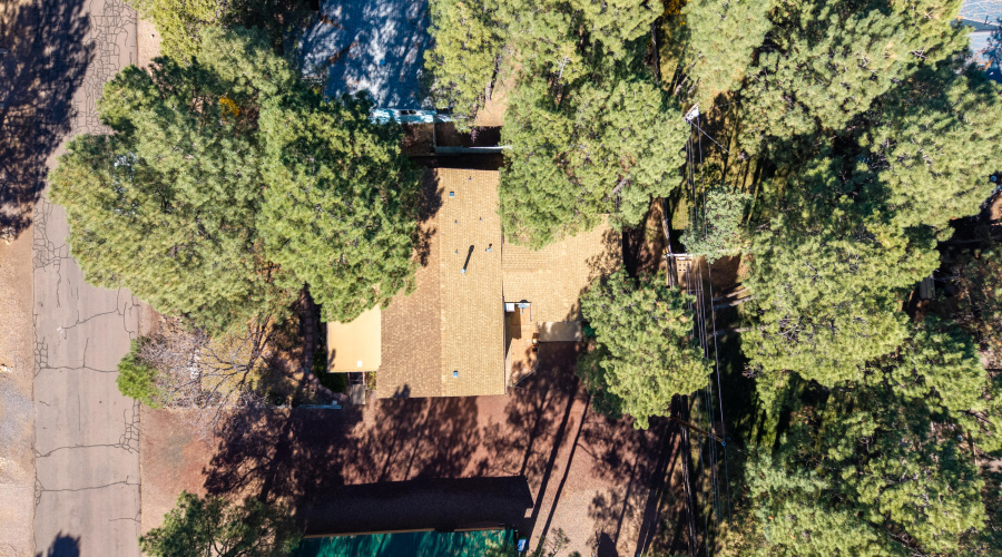 Overhead Aerial with Trees