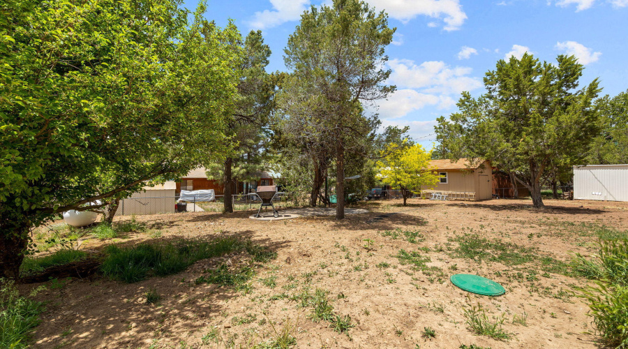 3884TurkeyRun-Heber-AZ-32