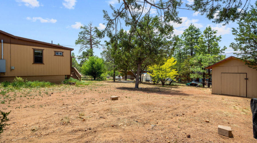 3884TurkeyRun-Heber-AZ-34