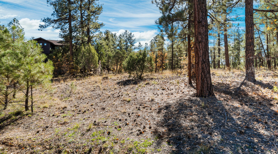 Build Your Dream Home