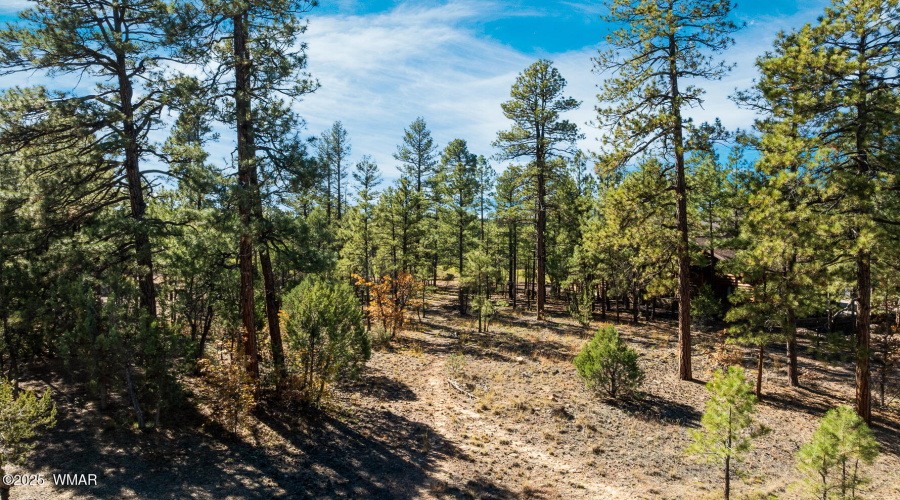 Great Location In Torreon