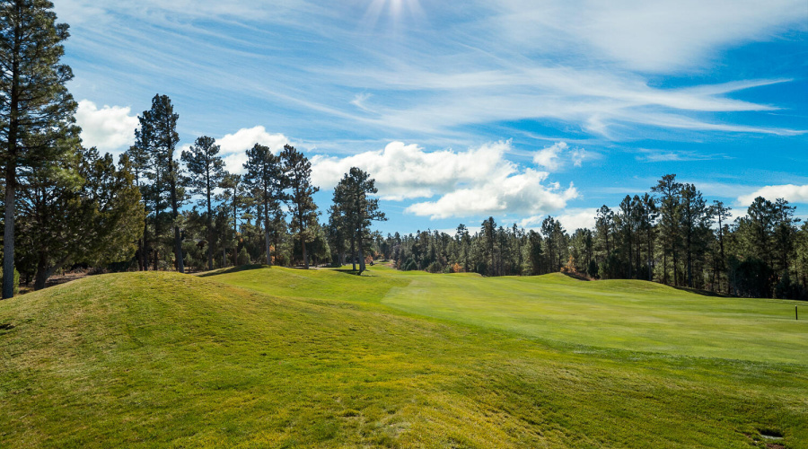 On The Fairway