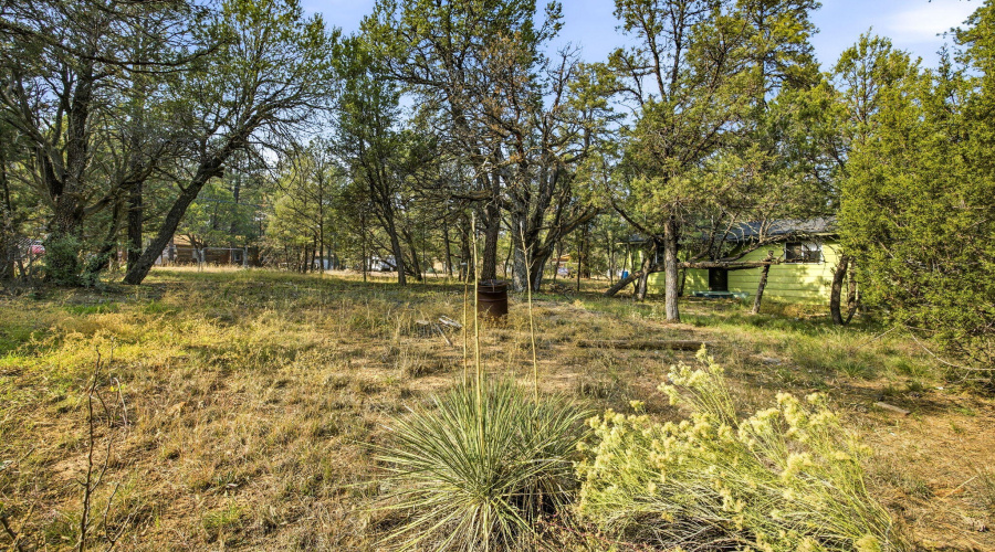 2887CenterRd-HeberOvergaard-AZ-19