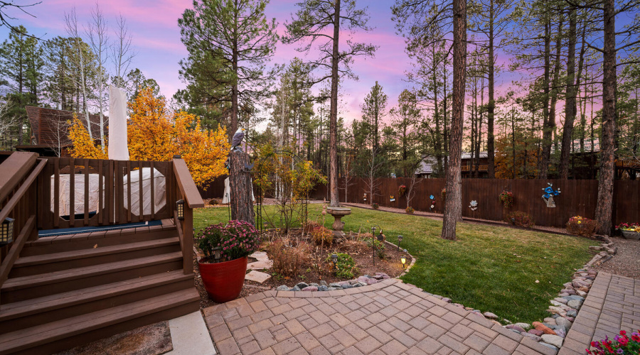 CB view from patio to back yard