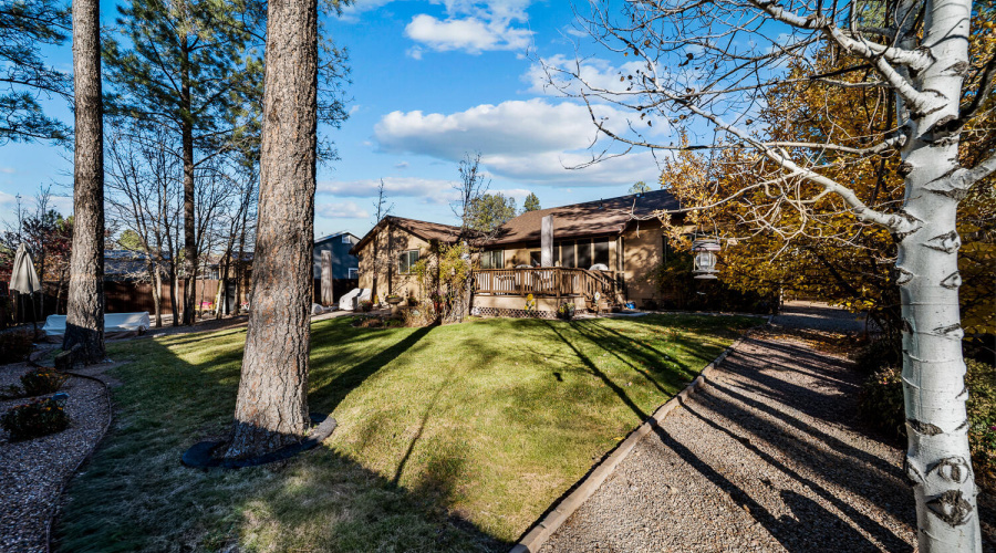 CB rear yard view and