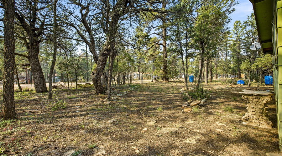 2887CenterRd-HeberOvergaard-AZ-15