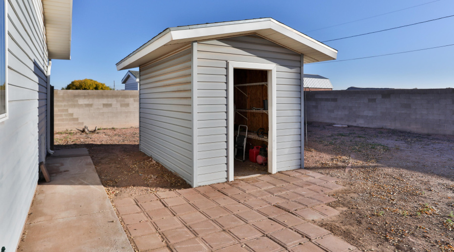 Shed back yard