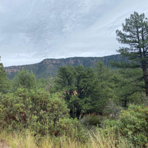 186NTrailsEndDr_62707_1