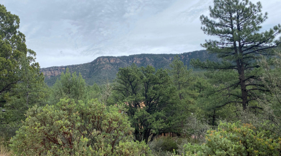 186NTrailsEndDr_62707_1