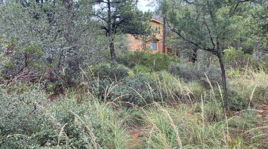 186NTrailsEndDr_62707_3