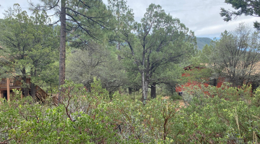 186NTrailsEndDr_62707_4