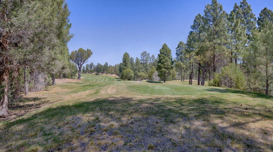 20240523133633507694000000-o - Copy - Co