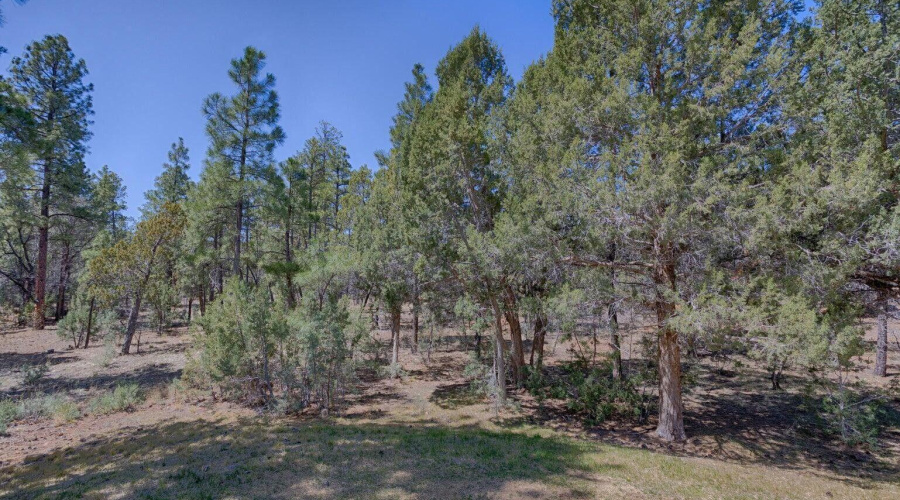 20240523133708704790000000-o - Copy - Co