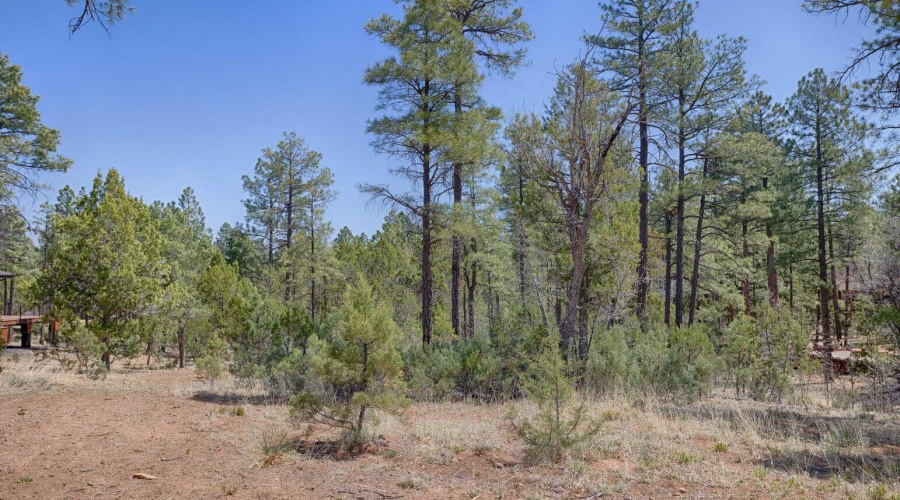 20240523133740134608000000-o - Copy - Co