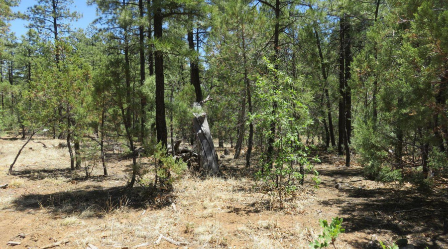 20180531201836565277000000-o - Copy - Co