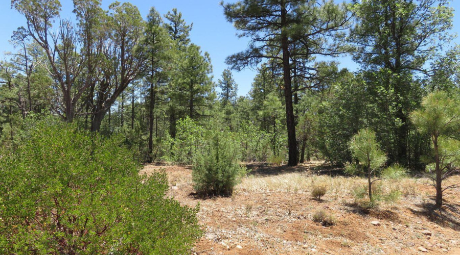 20180531202444947680000000-o - Copy - Co