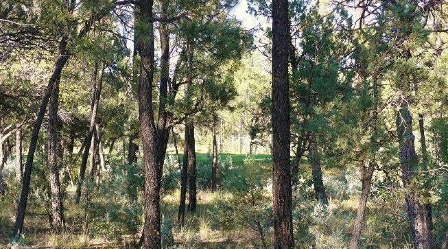 20180602132334289163000000-o - Copy - Co