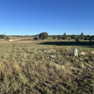 1041 S Lorenzo Sitgreaves Drive