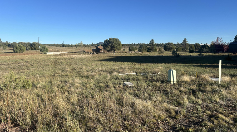 1041 S Lorenzo Sitgreaves Drive