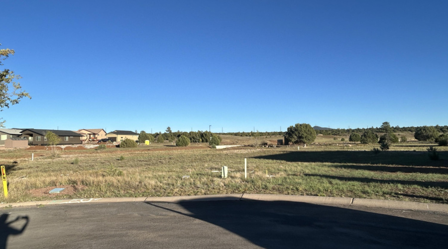 1041 S Lorenzo Sitgreaves Drive