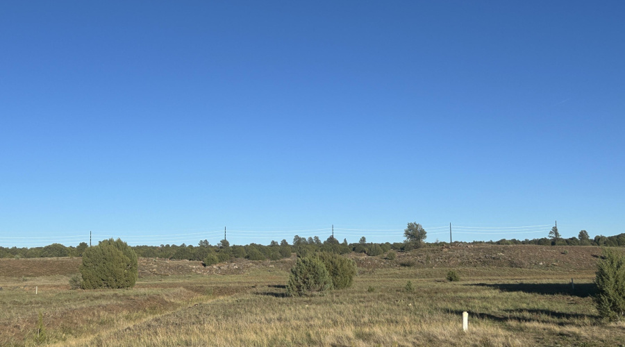 2261 E Rimstone Drive, Show Low