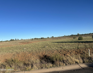 1081 Ridgeway Place, Show Low, Arizona 85901, ,Land,For Sale,Ridgeway,258625