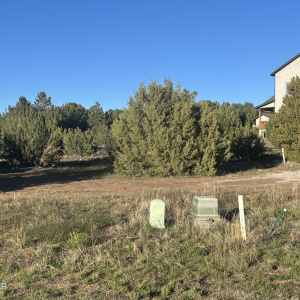 521 S Rockcreek Drive, Show Low