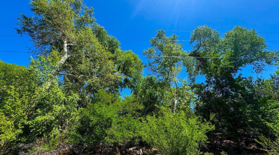 20251018021633683425000000-o