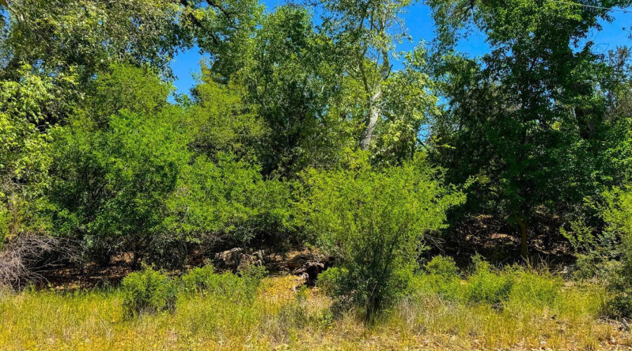 20251018021634028419000000-o