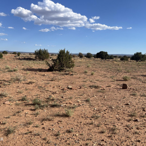 View from front road