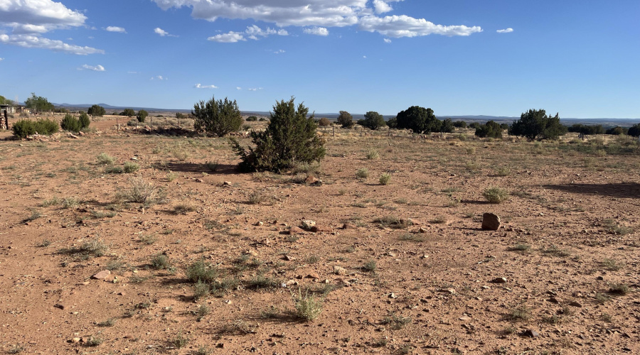 View from front road