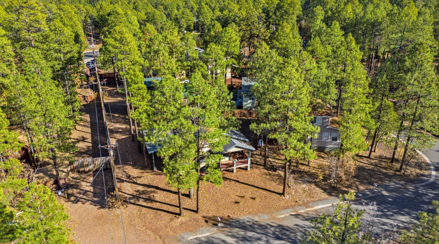 401SCottonTrailDr-PinetopLakeside-AZ-29