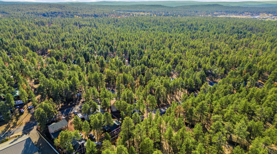 401SCottonTrailDr-PinetopLakeside-AZ-33