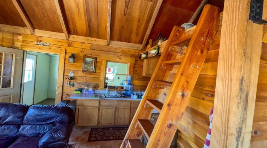 20250401073508905661000000-o (1)