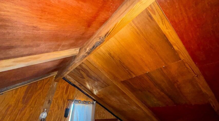 20250401071108761693000000-o (1)