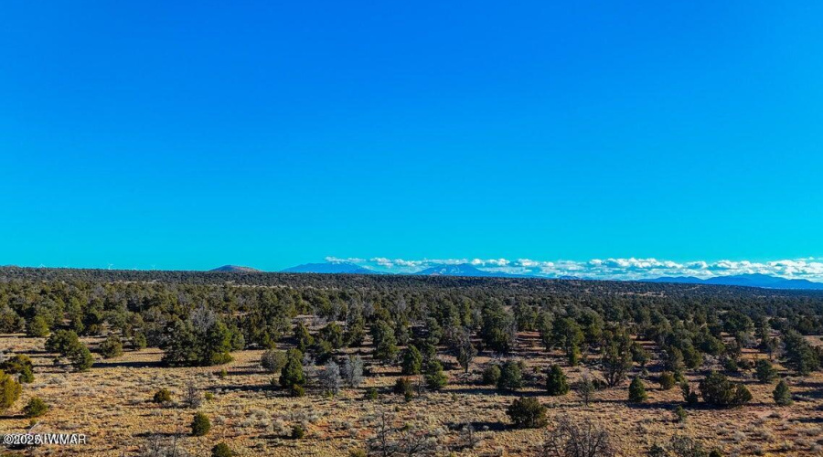 20250401070402691007000000-o (1)