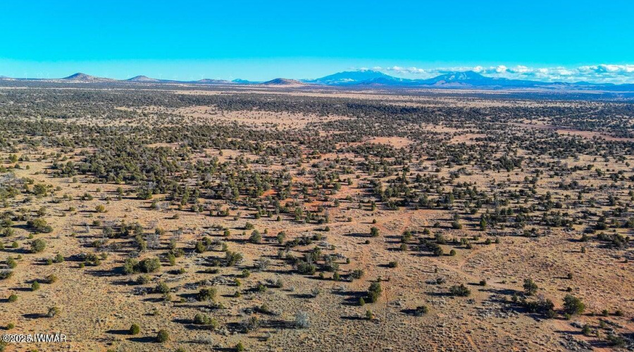 20250401070842572362000000-o (1)