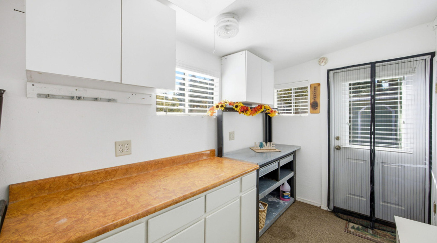 2880PaintPony-HeberOvergaardAZ-16