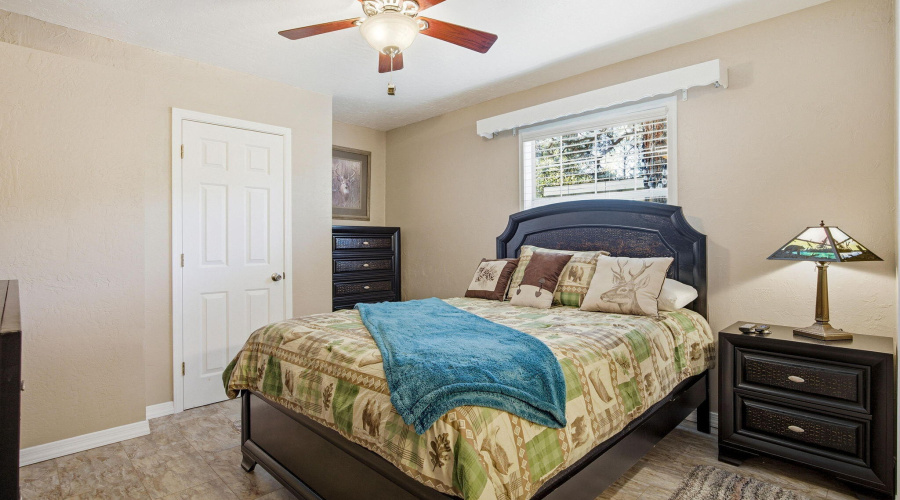 2880PaintPony-HeberOvergaardAZ-17