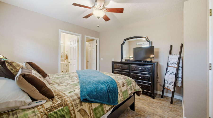 2880PaintPony-HeberOvergaardAZ-18