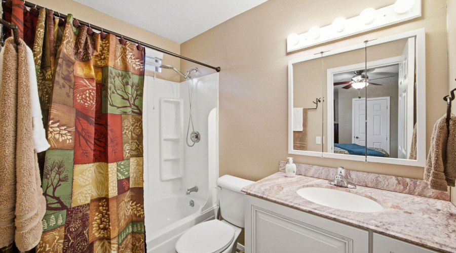 2880PaintPony-HeberOvergaardAZ-19