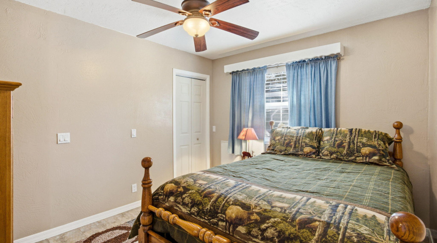 2880PaintPony-HeberOvergaardAZ-20