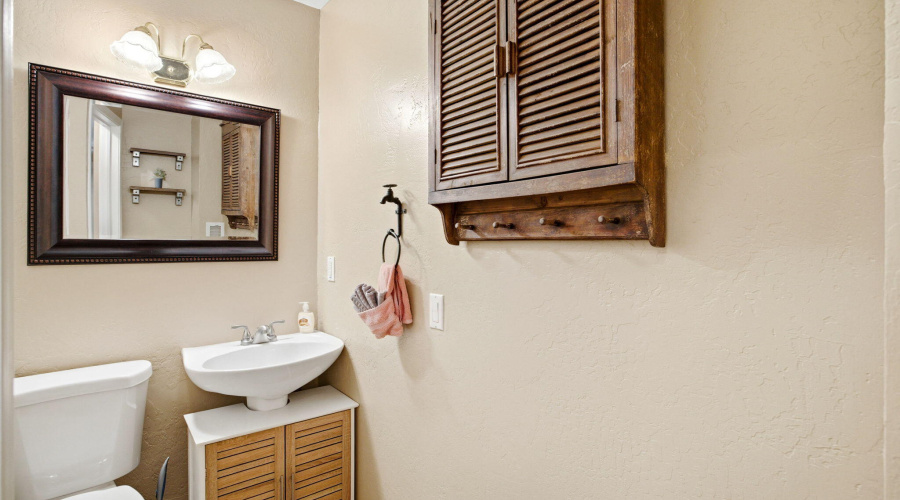 2880PaintPony-HeberOvergaardAZ-21