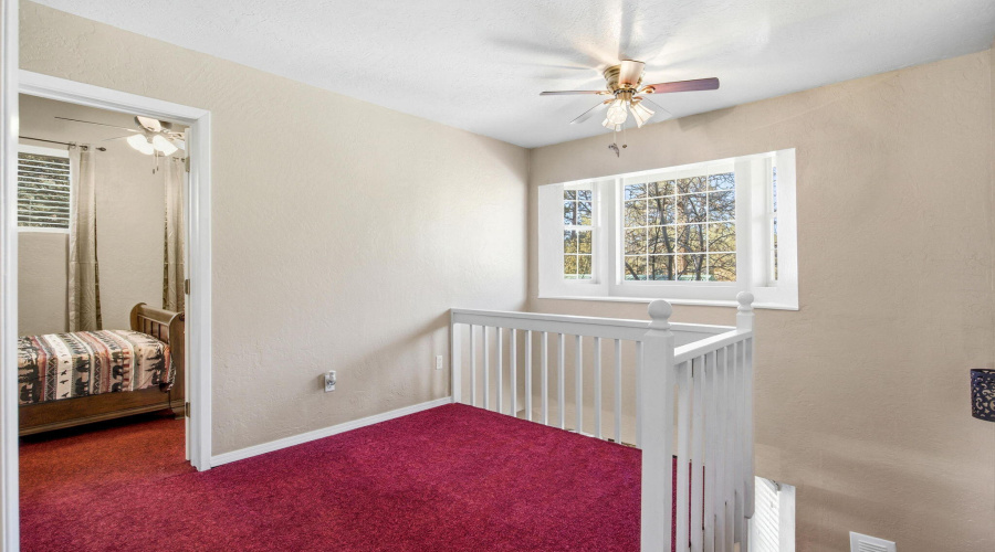 2880PaintPony-HeberOvergaardAZ-22