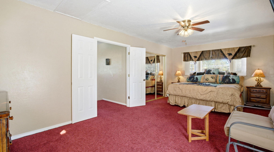 2880PaintPony-HeberOvergaardAZ-23