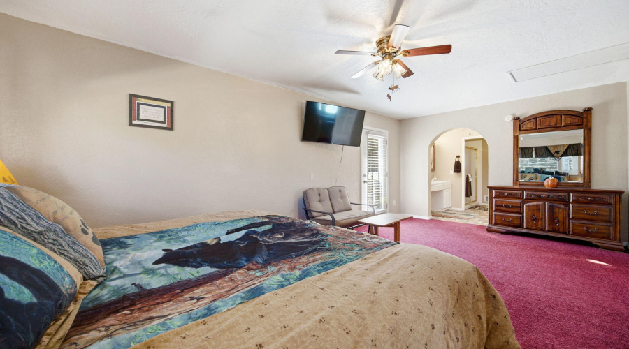 2880PaintPony-HeberOvergaardAZ-24