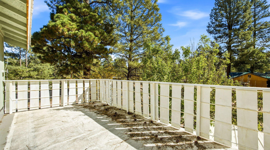 2880PaintPony-HeberOvergaardAZ-27