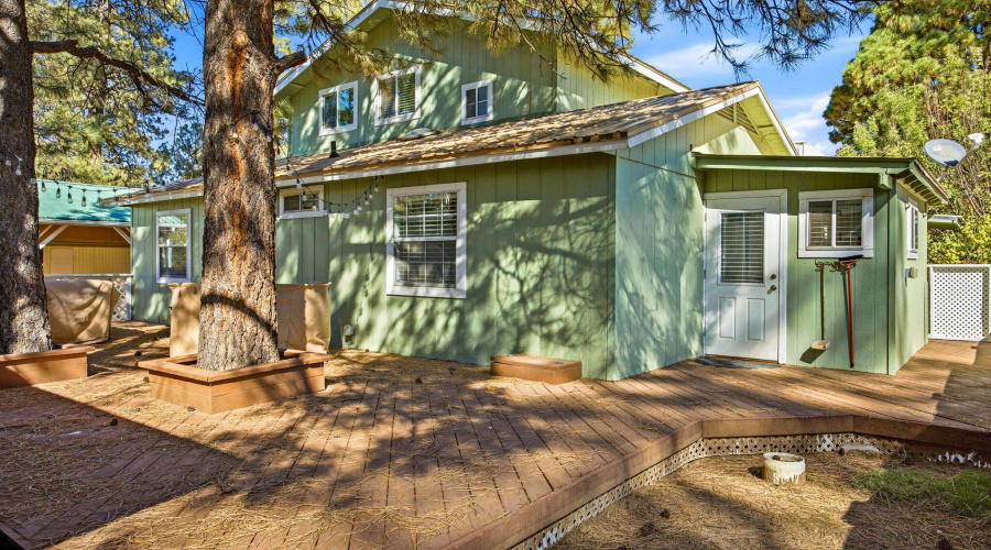 2880PaintPony-HeberOvergaardAZ-29