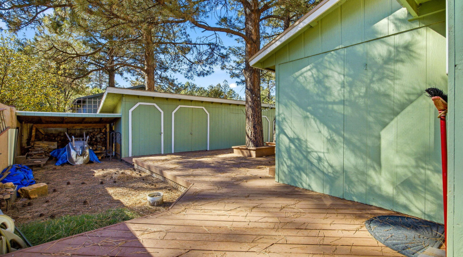 2880PaintPony-HeberOvergaardAZ-30